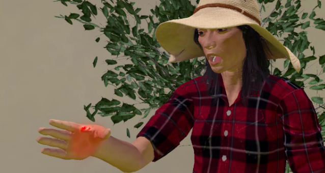 SPANISH: First Aid: Environmental Emergencies - Image 4