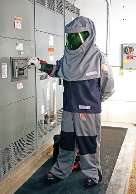 Electrical Safety Work Practices and Standards / includes Arc Flash - Image 3