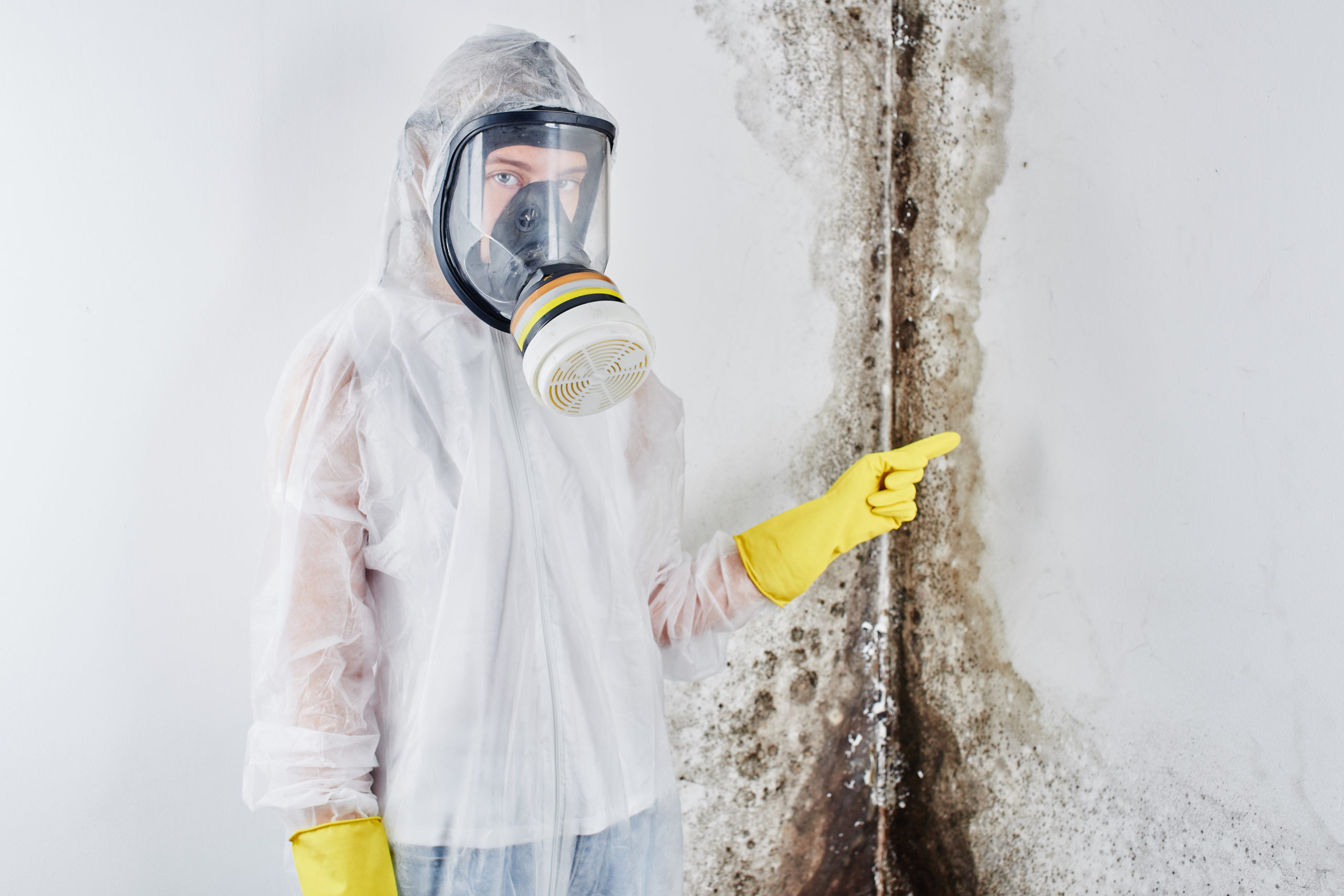 Intro to Mold and Mildew Awareness