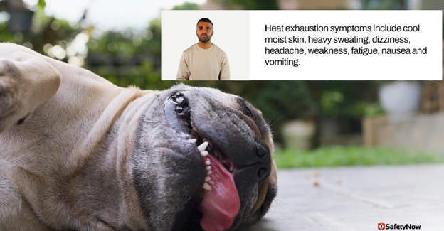 Heat-Related Illnesses: Identification & Prevention – Video - Image 2