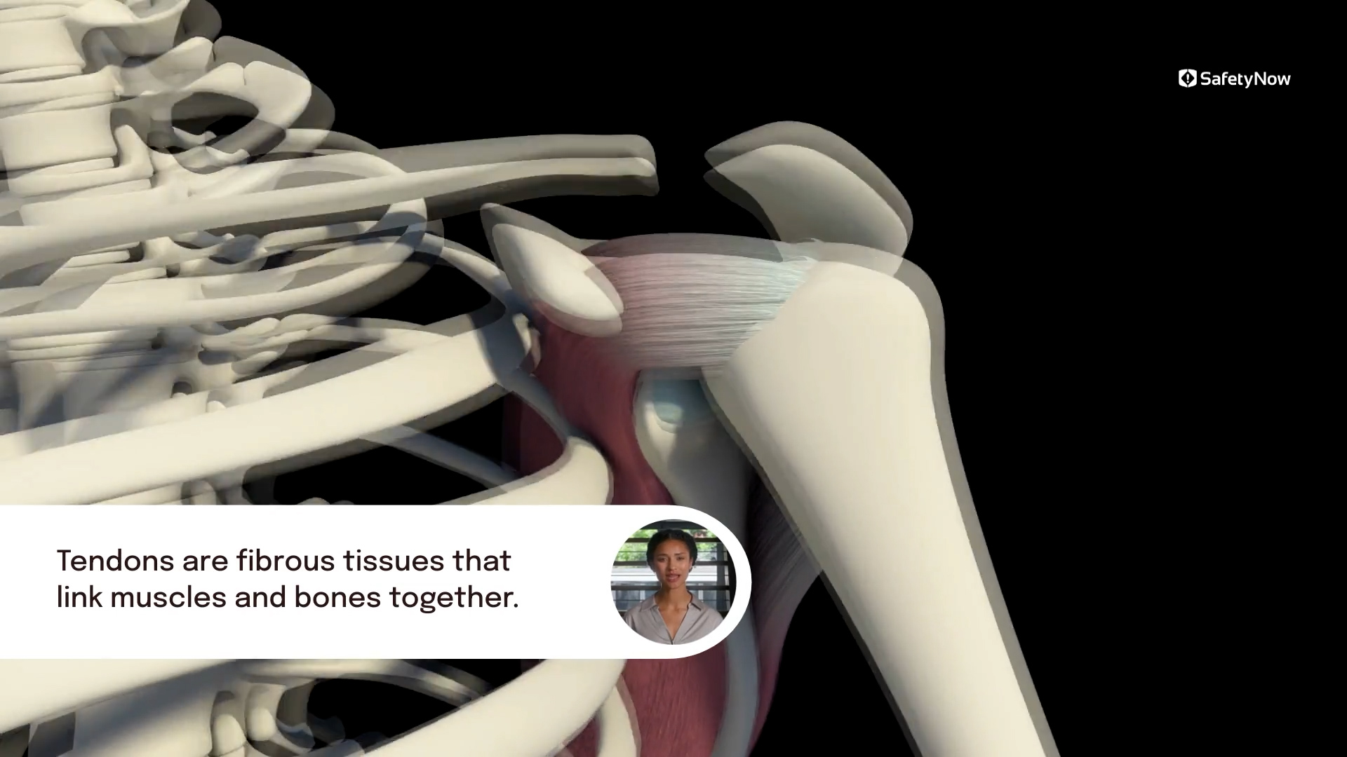 FUNDAMENTAL 55: Industrial Ergonomics - Image 3