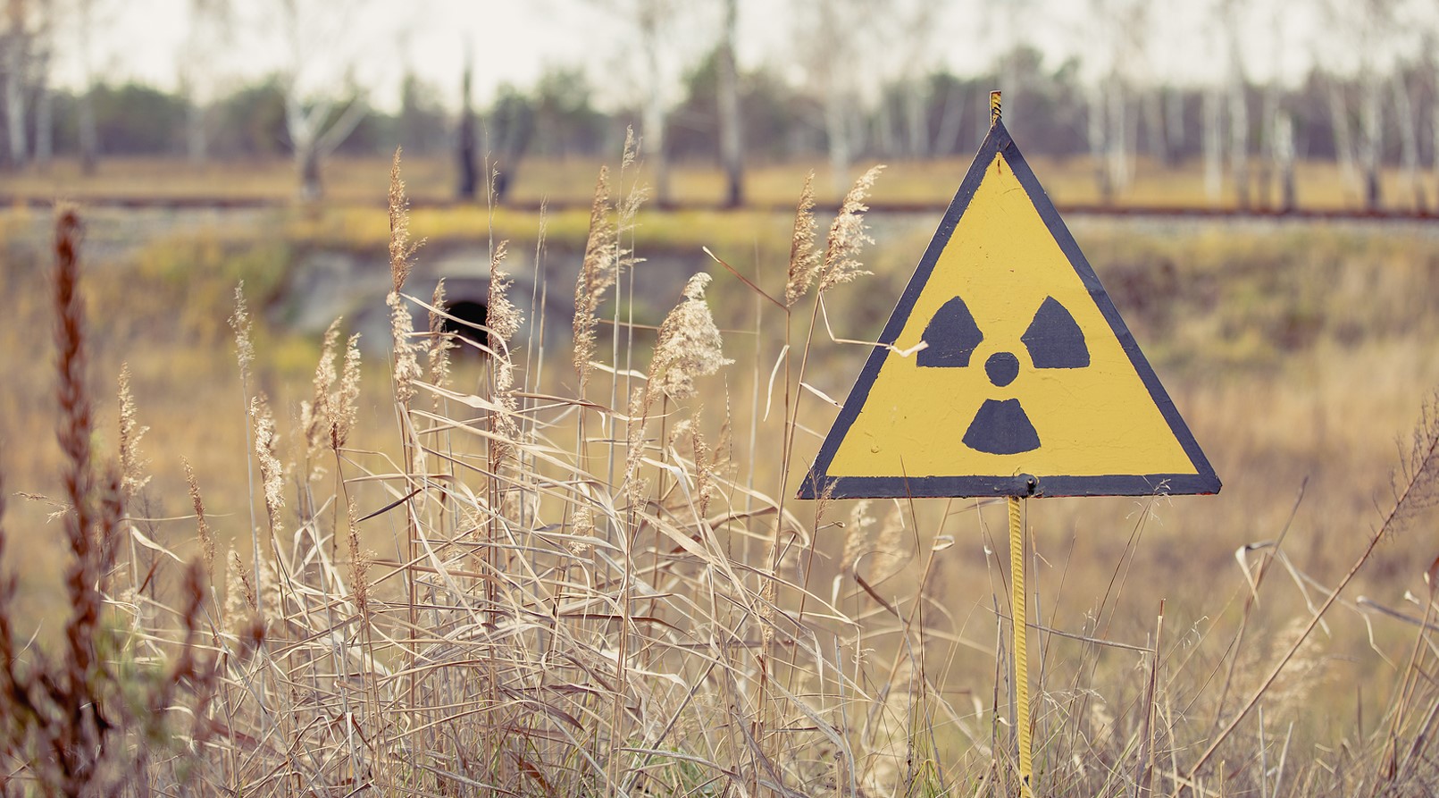 Radiation (Ionizing) - Quick Course