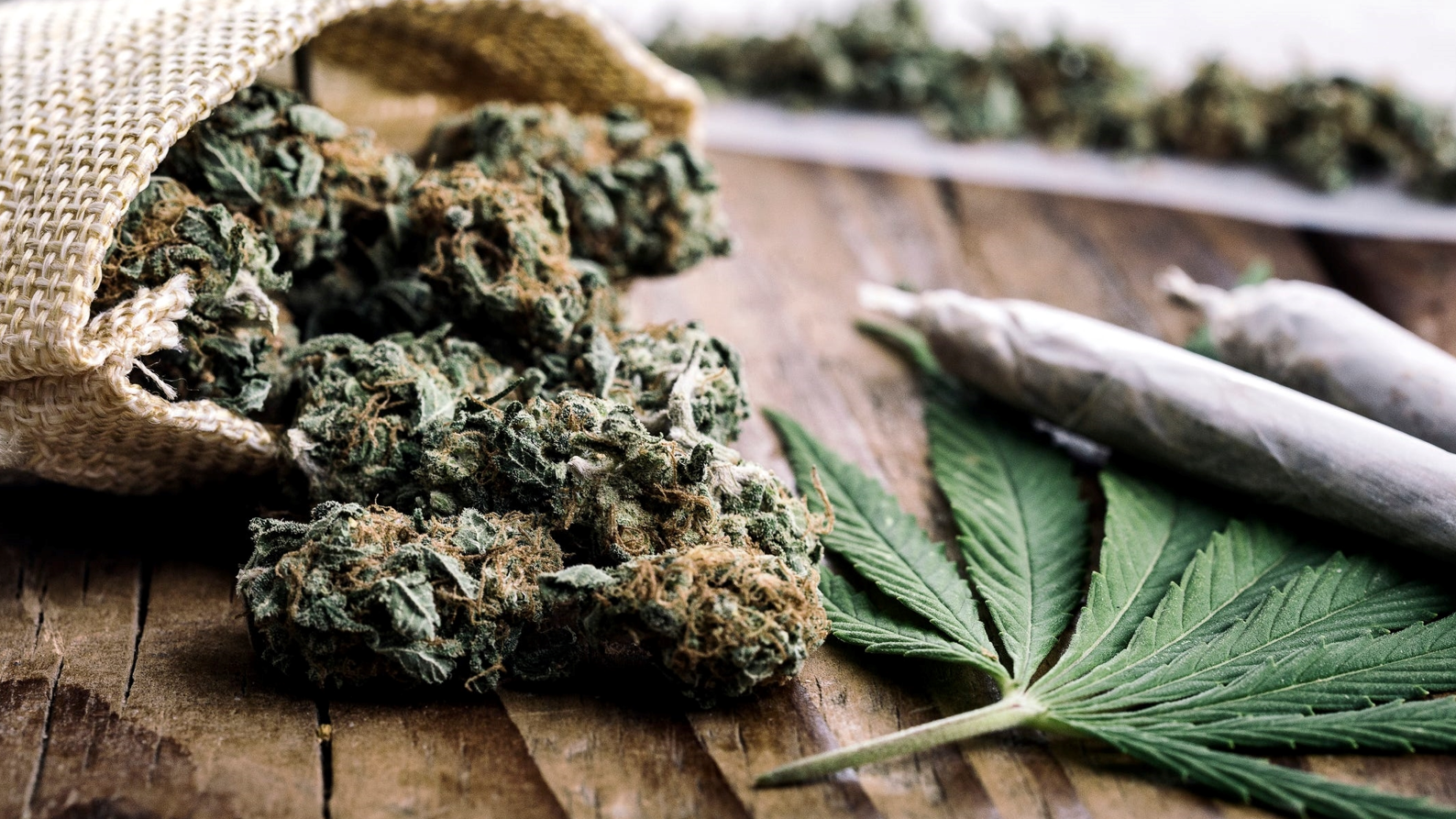 Cannabis Workplace Safety