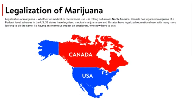 Cannabis Workplace Safety - Image 2