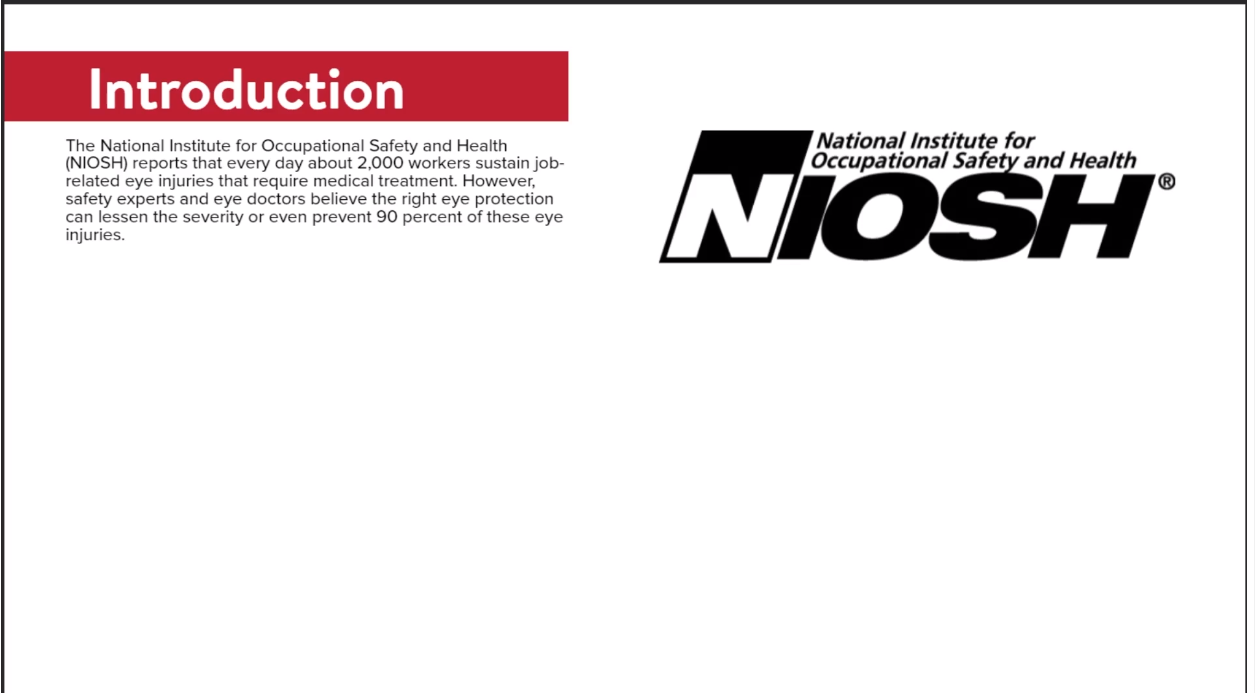 PPE - Personal Protective Equipment: Eye Protection - Image 2