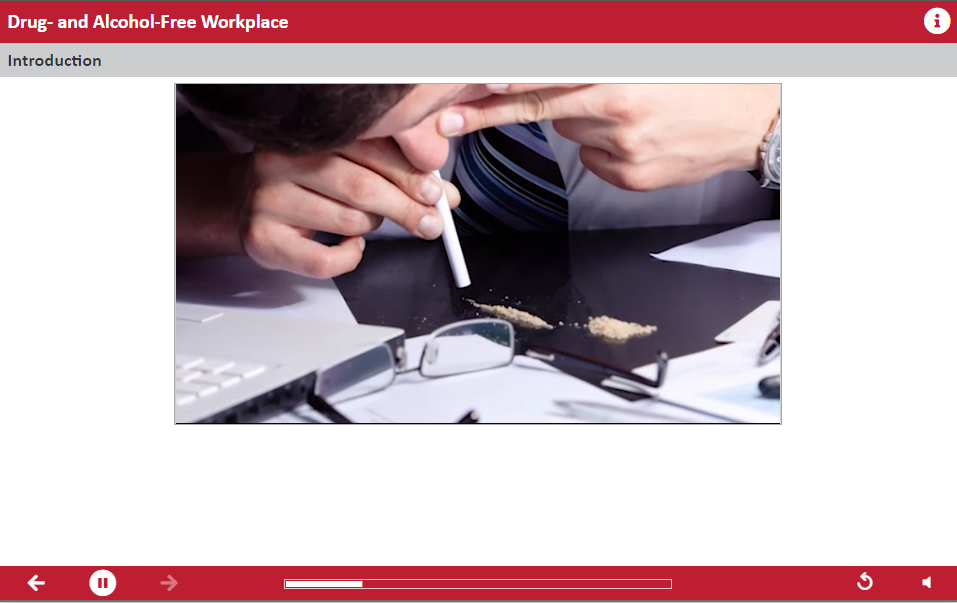 REFRESHER: Drug and Alcohol-Free Workplace - Image 2