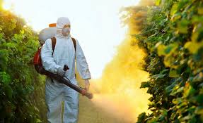 Mosquito, Tick, and Vector-Borne Illnesses - Image 3