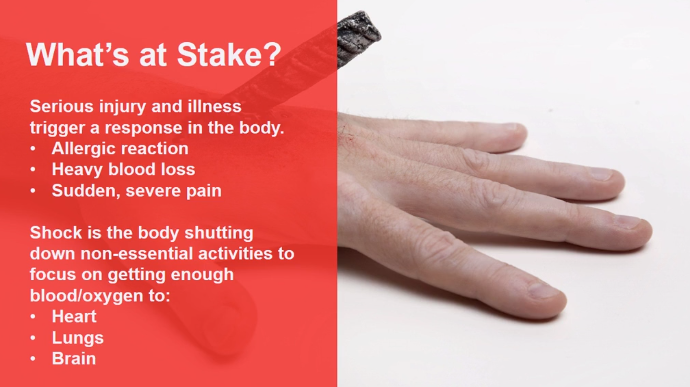 First Aid - Shock - Image 2