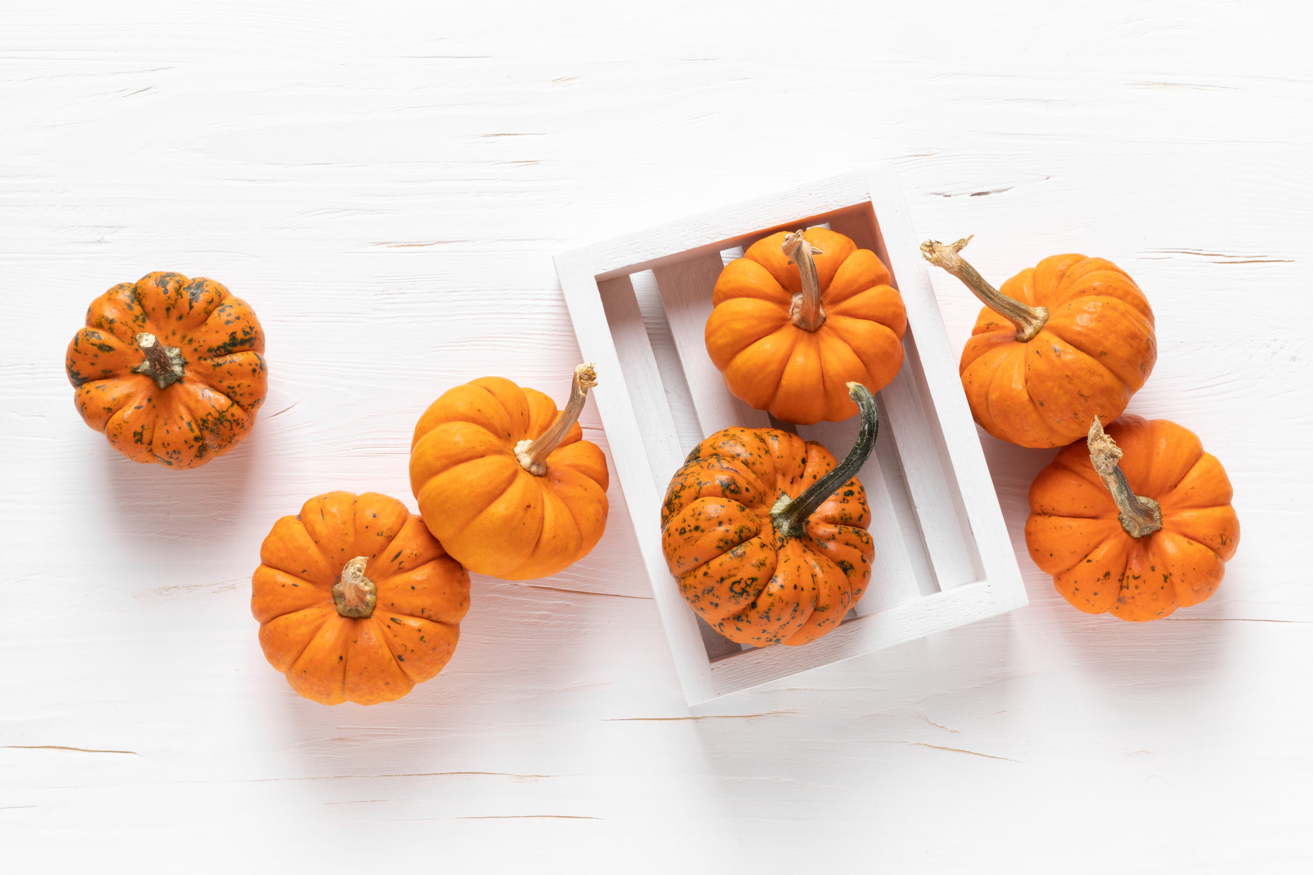 SAFETY TIP: Halloween Safety