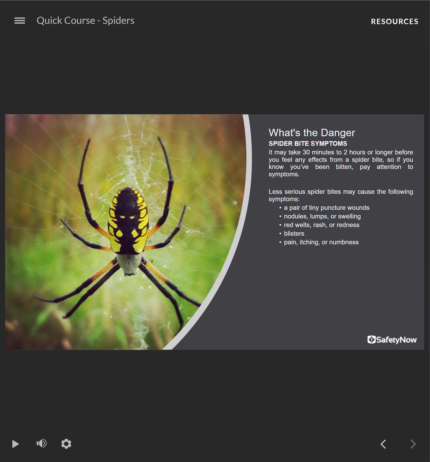 Spiders - Quick Course - Image 3