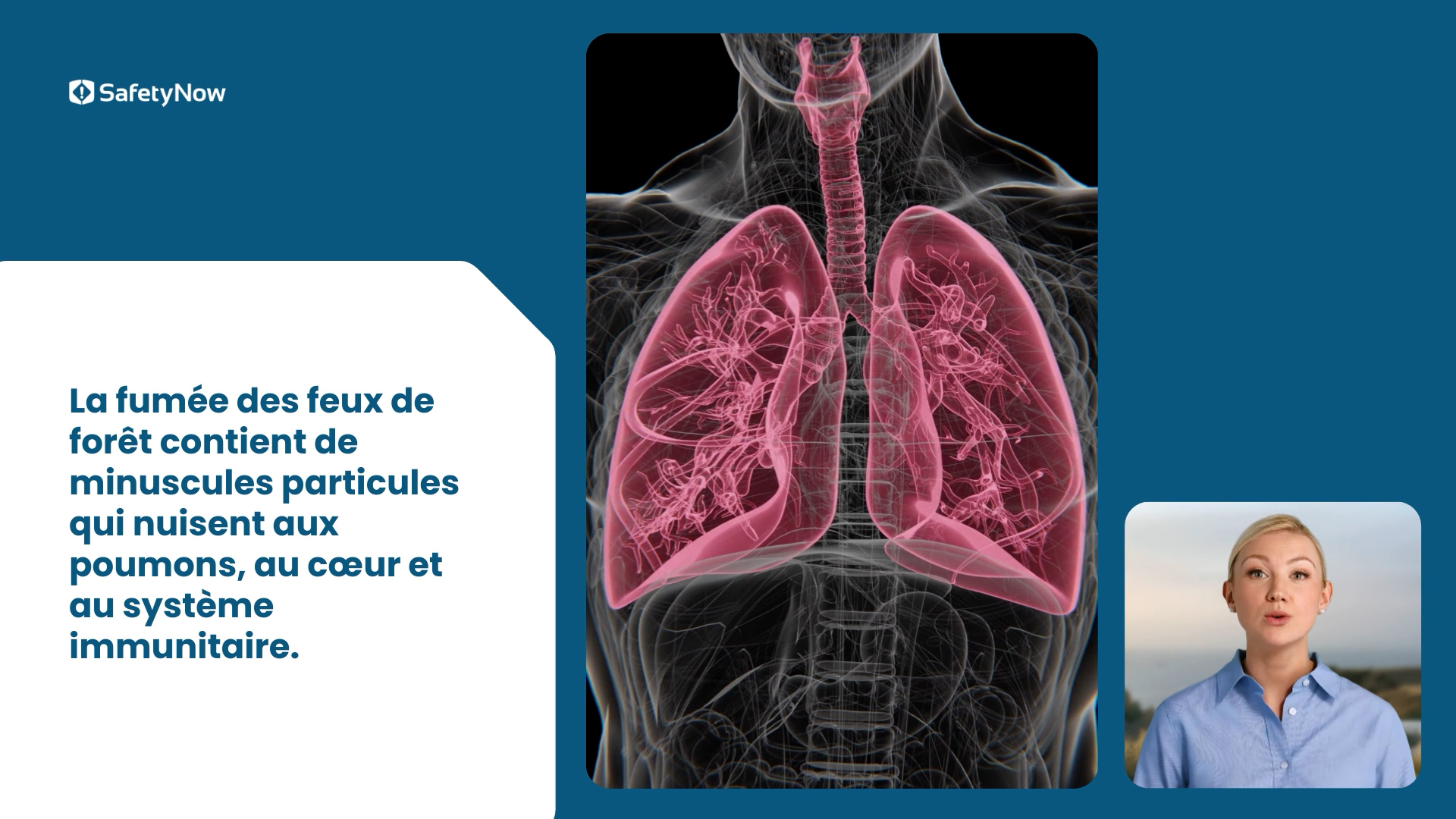 Wildfire Smoke Safety - French - Image 2