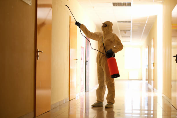 Mold Awareness in the Workplace - Spanish